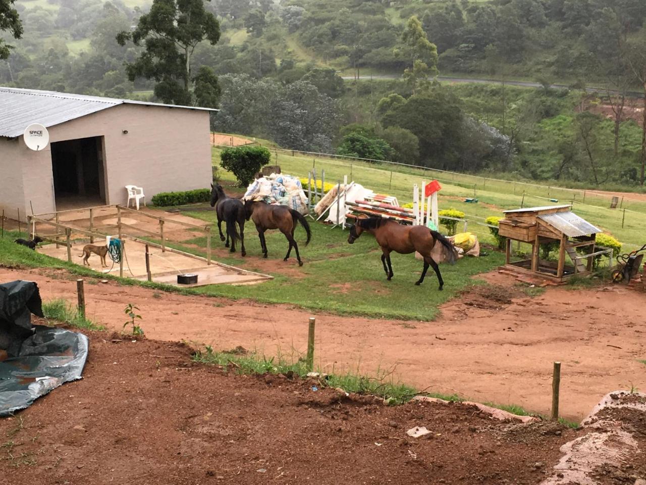 Cavalo Guesthouse & Equestrian Estate Drummond Exterior photo