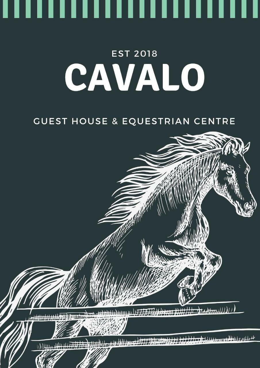 Cavalo Guesthouse & Equestrian Estate Drummond Exterior photo