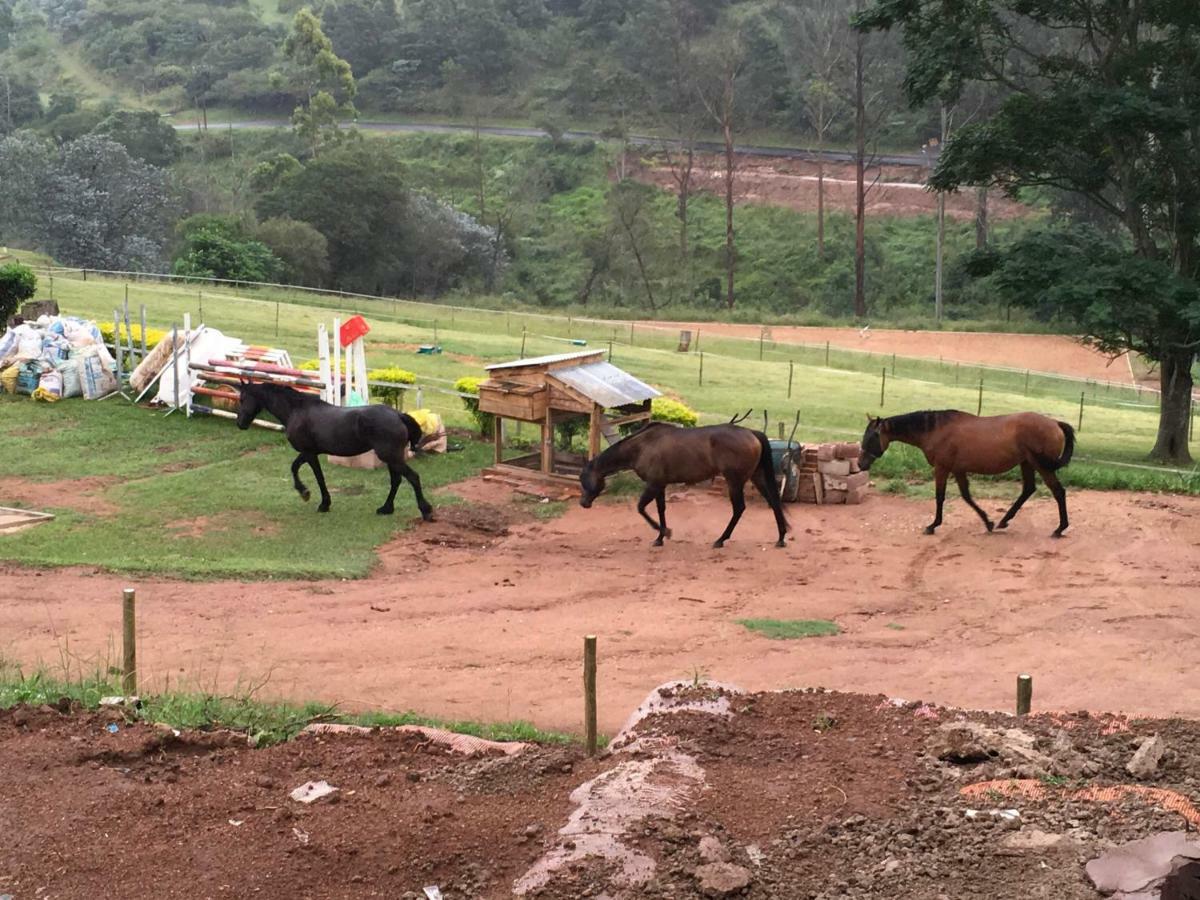 Cavalo Guesthouse & Equestrian Estate Drummond Exterior photo